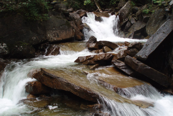 Mjedisore, inxhinierë