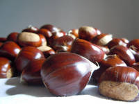 Fresh Chestnut 