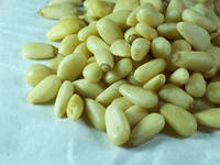 Pine Nut Kernels