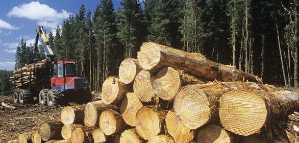 Logging tjenester