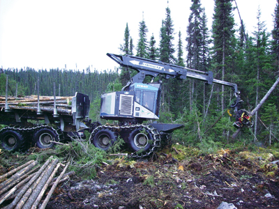 Forestry services