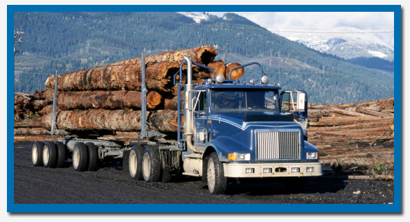 Road transport services, bulk, logs