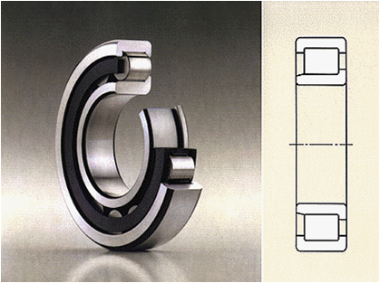 Cylindrical Roller Bearings