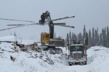  Transport of logs within the forest