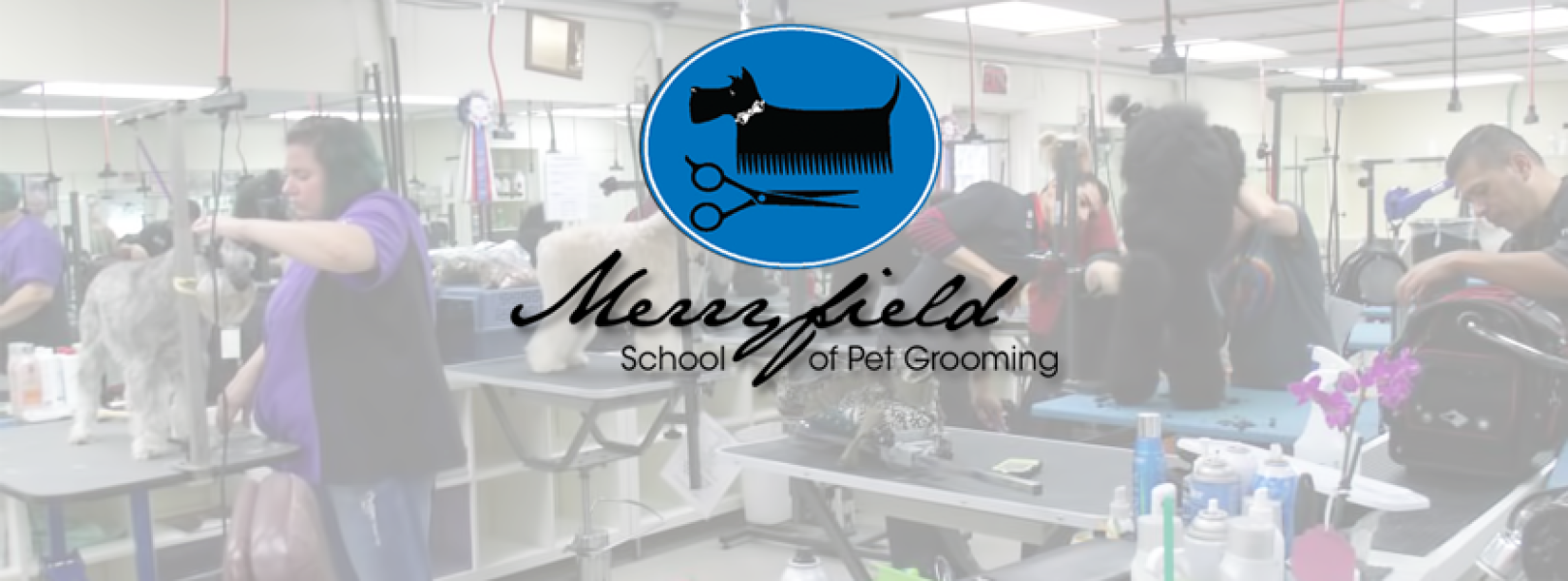 Pet Grooming School Fort Lauderdale, FL | Merryfield School