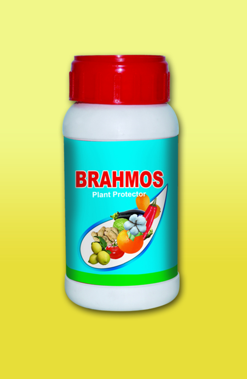 BRAHMOS