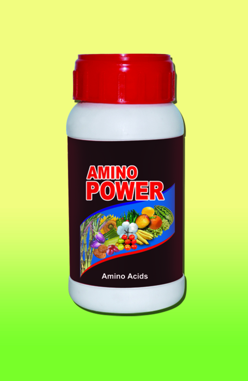 AMINO POWER