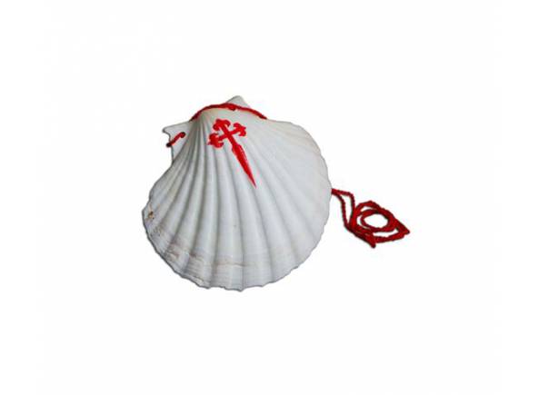 Scallop shell - Original Pilgrim´s shell