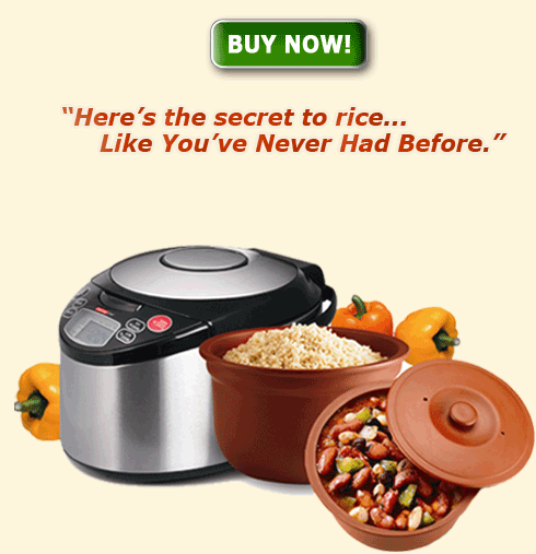 Rice cooker