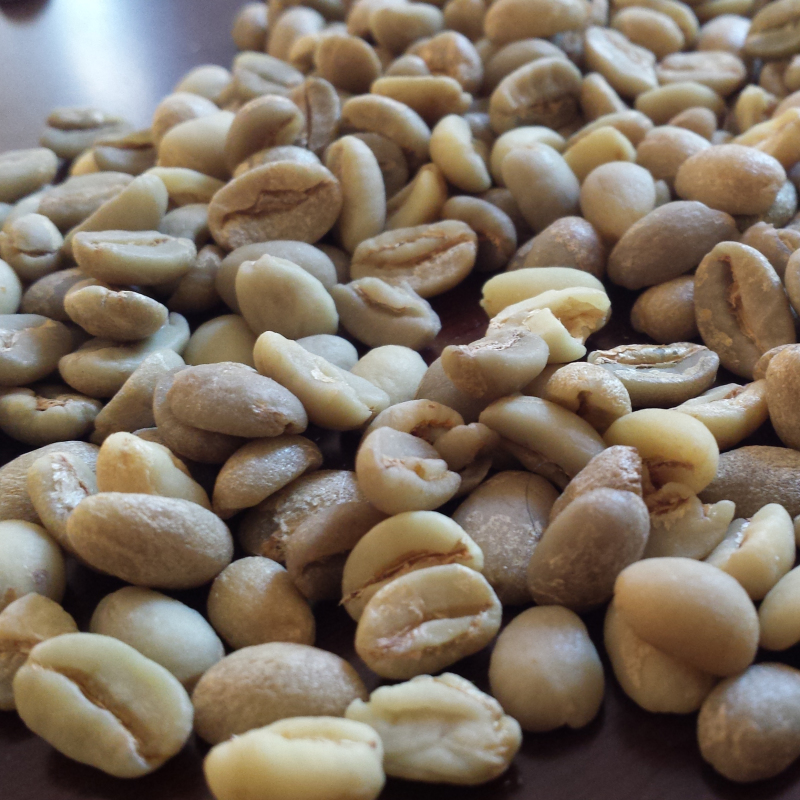 Ethiopian Arabica Harrar Coffee Beans