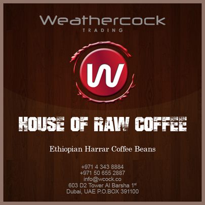 Ethiopian Arabica Harrar Coffee Beans