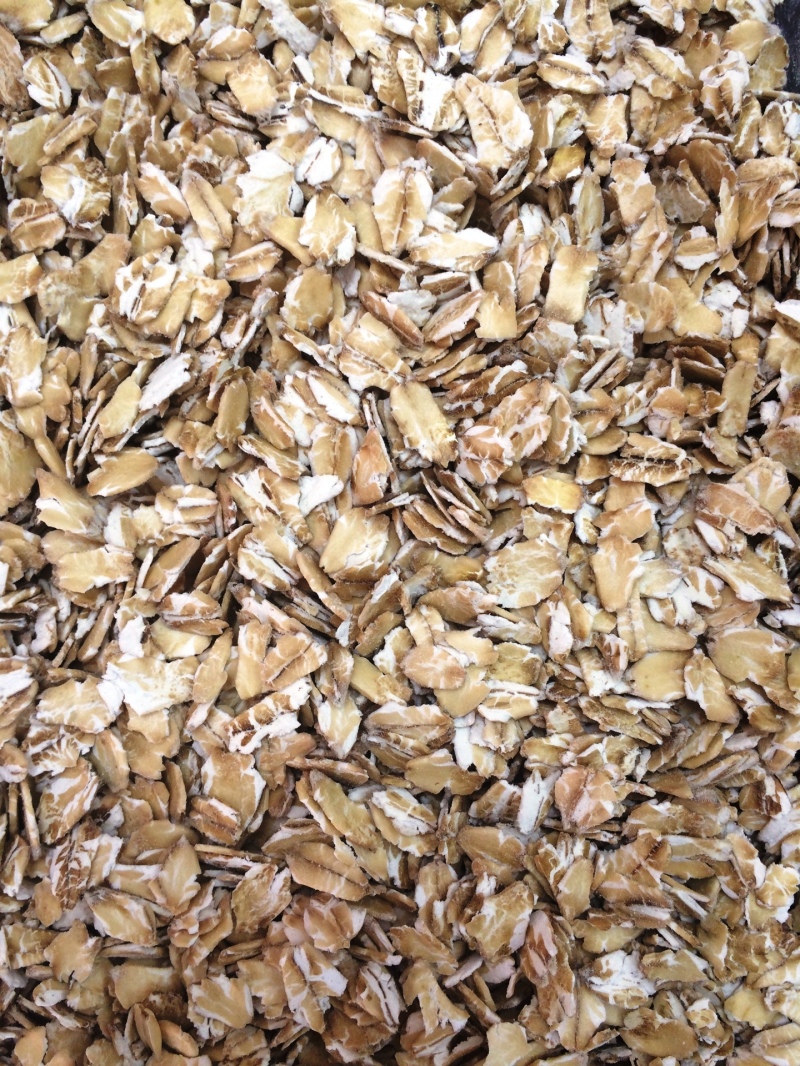 Oat flakes 2015