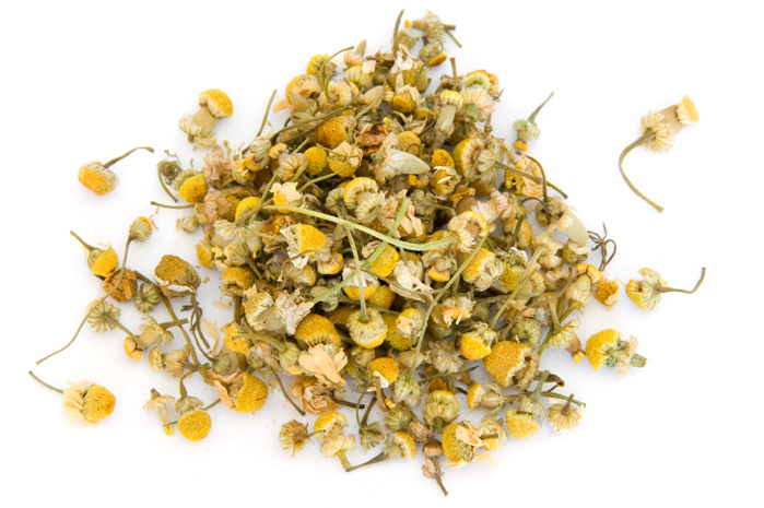 chamomile 