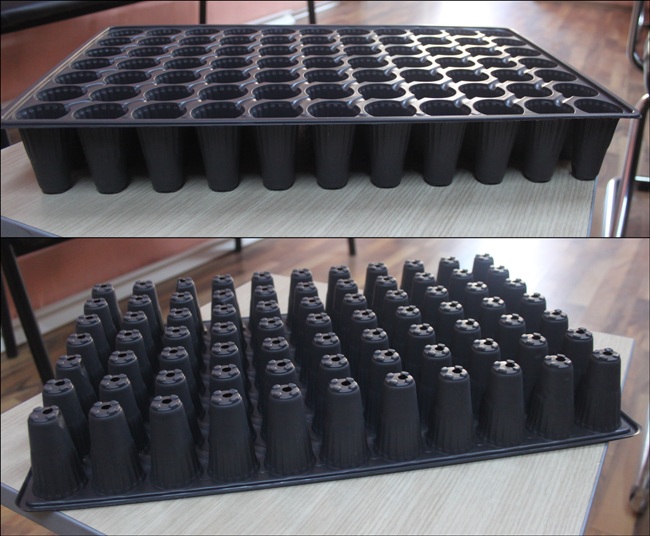 seedling tray