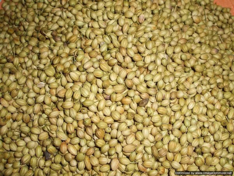 Coriander Seeds