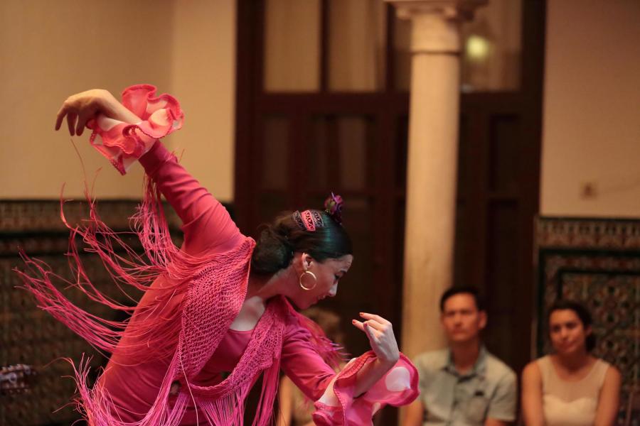 DISCOVER FLAMENCO LIKE YOU HAVE NEVER SEEN IT IN YOUR LIFE