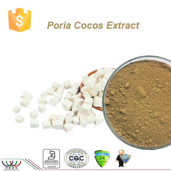 Poria Cocos Extract