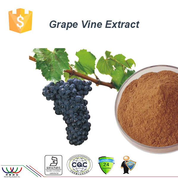 balancing blood sugar antioxidant grape vine extract