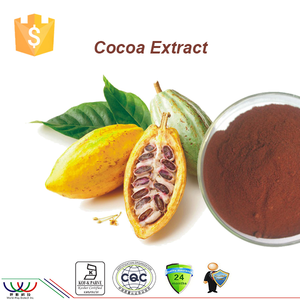 antioxidant,weight loss ingredient cocoa seed extract