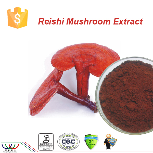  natural improving immunity ganoderma/reishi mushroom extract