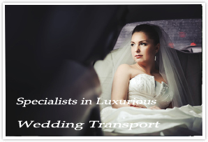 Wedding Limo Car Hire