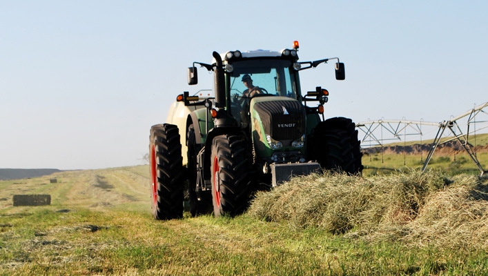 Cultivation des cultures fourragères