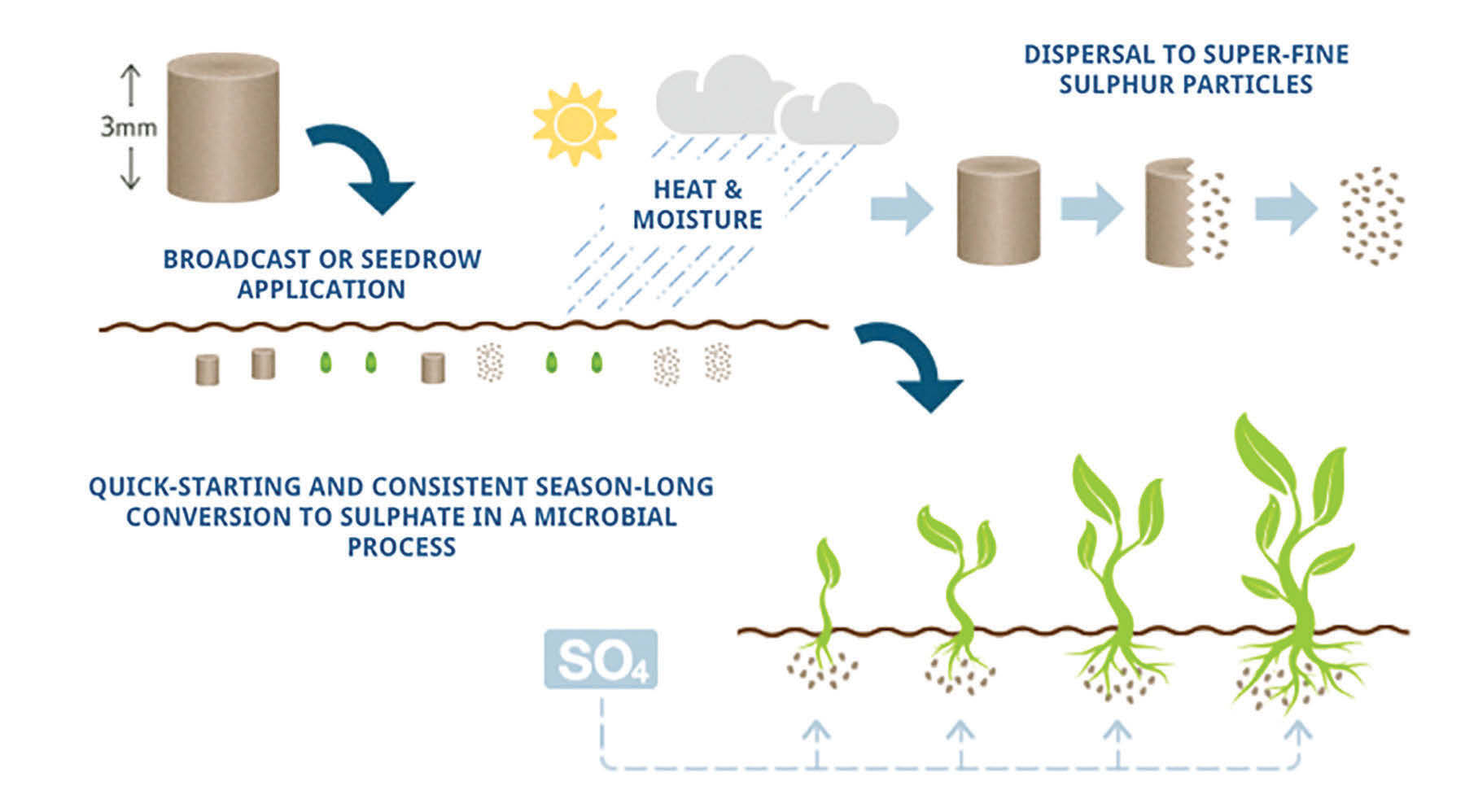 Fertilizzanti per l'agricoltura