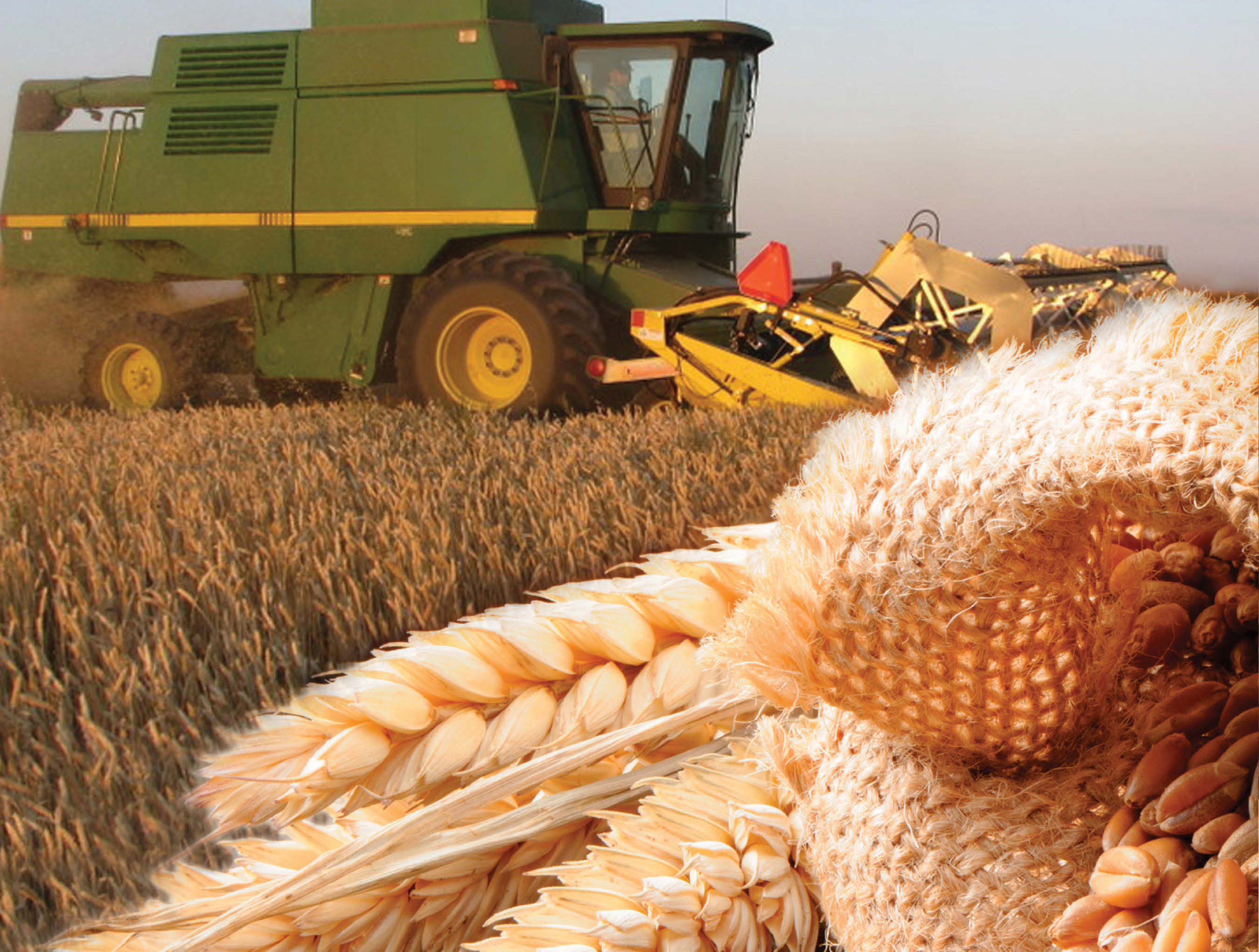 Продукти, засновані на зерно