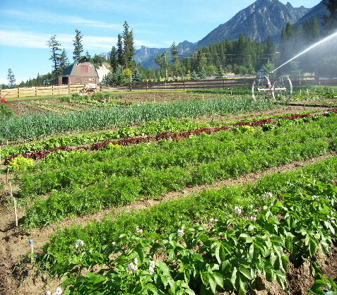 The Windermere District Farmers’ Institute and Livestock Association