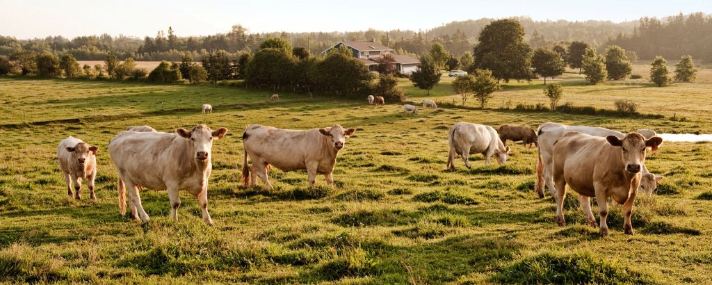 Agricoltura, servizio