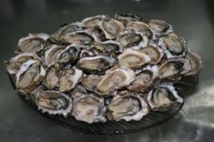 Oysters