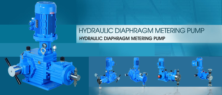 Hydraulic diaphragm metering pump