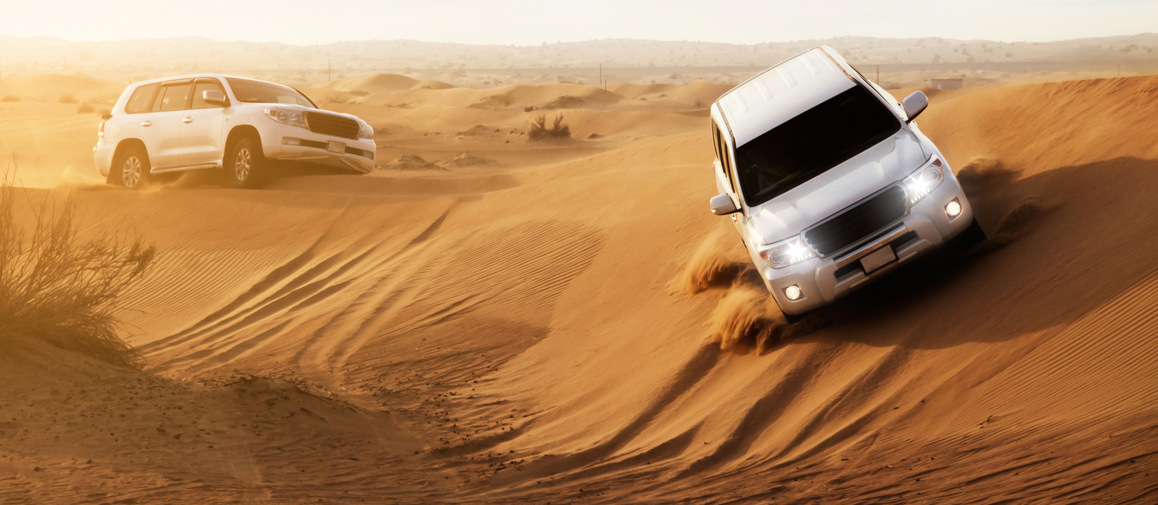 Desert Safari Tour Dubai