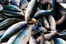 Isda, processing