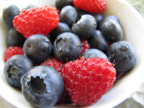 Blueberries, farms