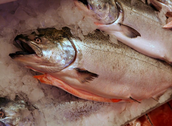 Salmone, fresco o refrigerato