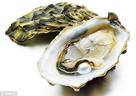 Oysters