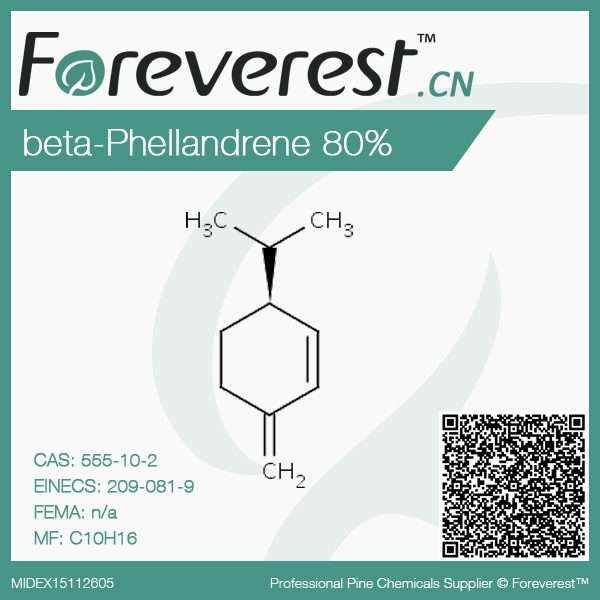 80% beta Phellandrene