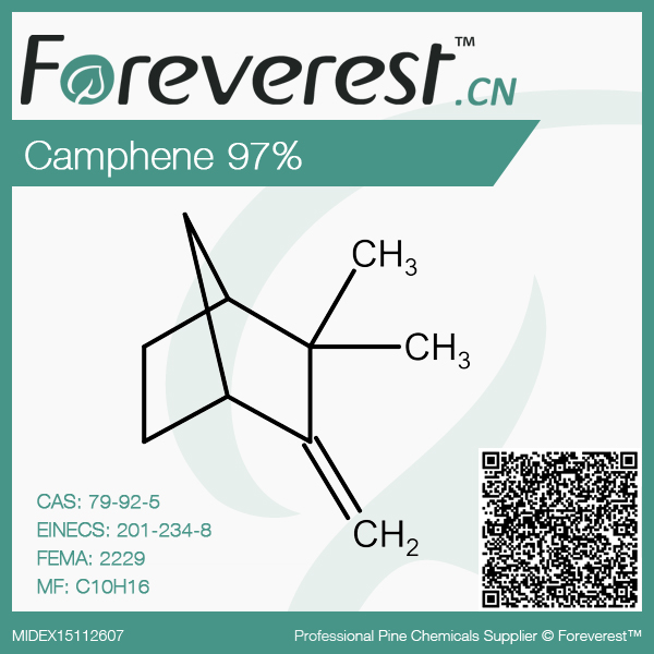 97% Camphene