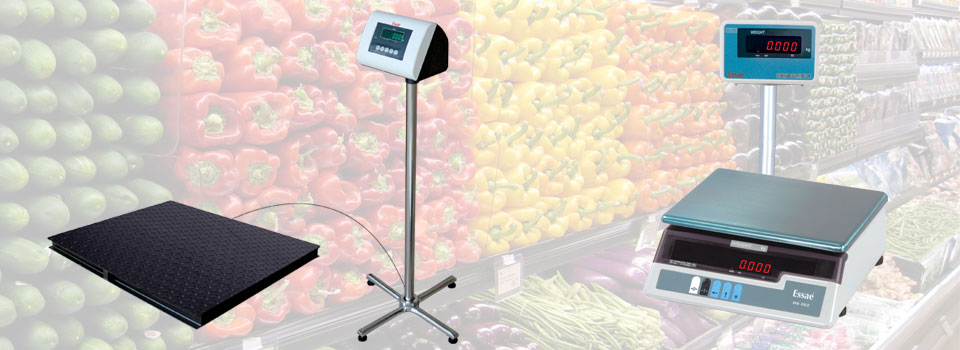 Electronic Weighing Machine