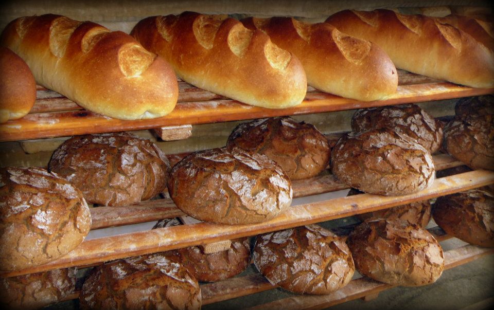 Bread, all types (white, wheat, rye, etc) fresh or frozen