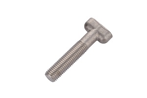 SS304 T Bolts