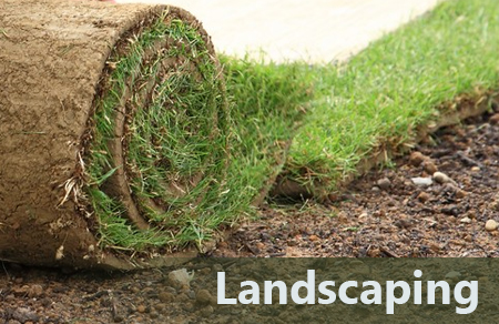 Texas Best Lawn & Landscaping