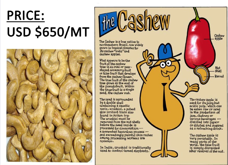 RAW CASHEW NUTS FOR SALE 