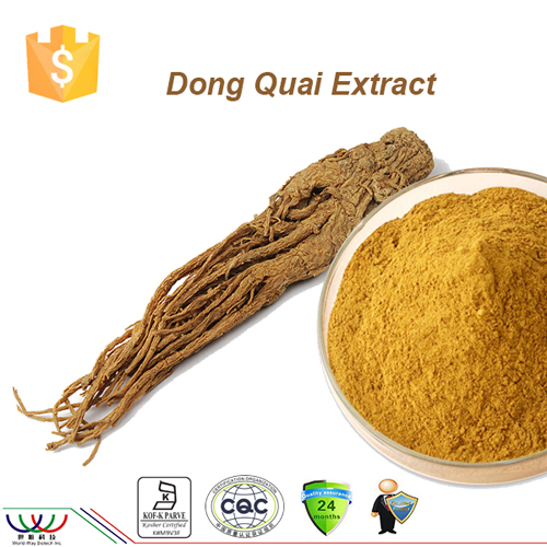 Pure natural Dong Quai Extract 