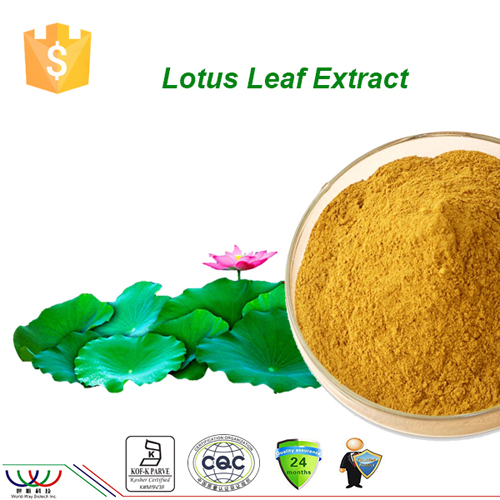 natural weight loss Lotus Leaf Extract 