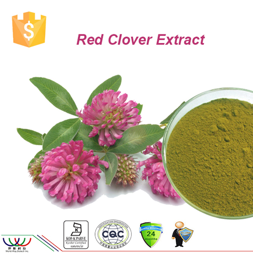 Pure natural isoflavone red clover extract