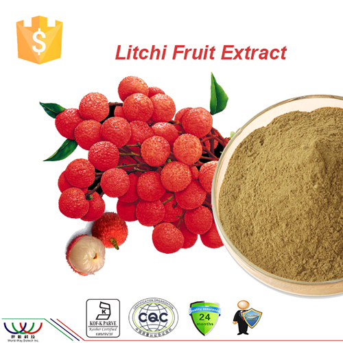 Pure natural antioxidant litchi fruit extract