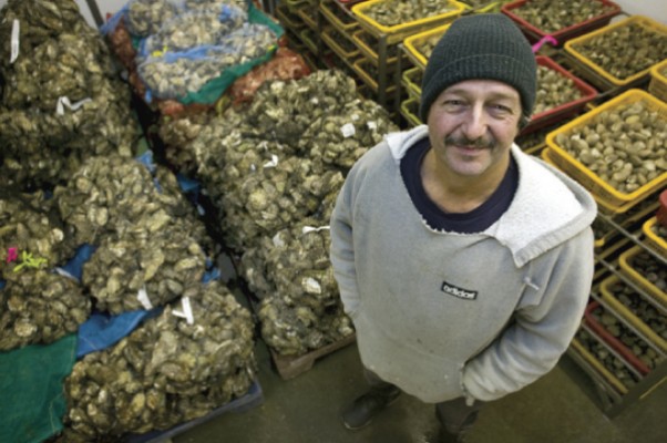 Delicious Shellfish, Farmed Naturally