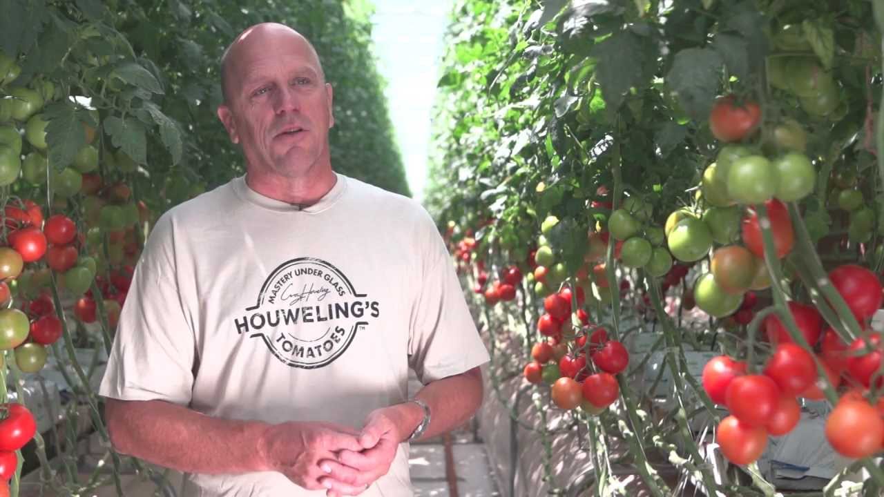  Greenhouse growers